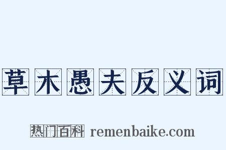 草木愚夫反义词是什么意思的图片